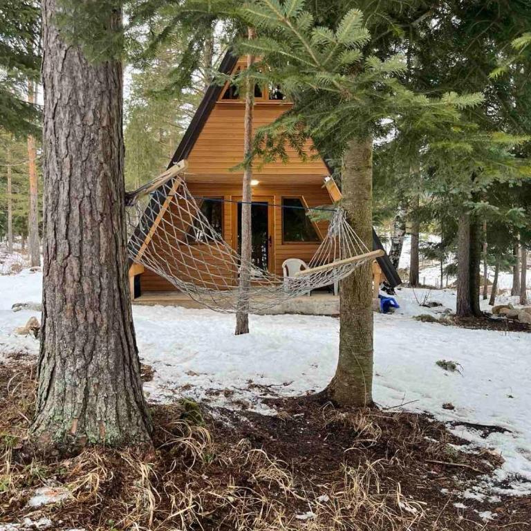 Vila Djordje Žabljak - Two-Bedroom House - 7