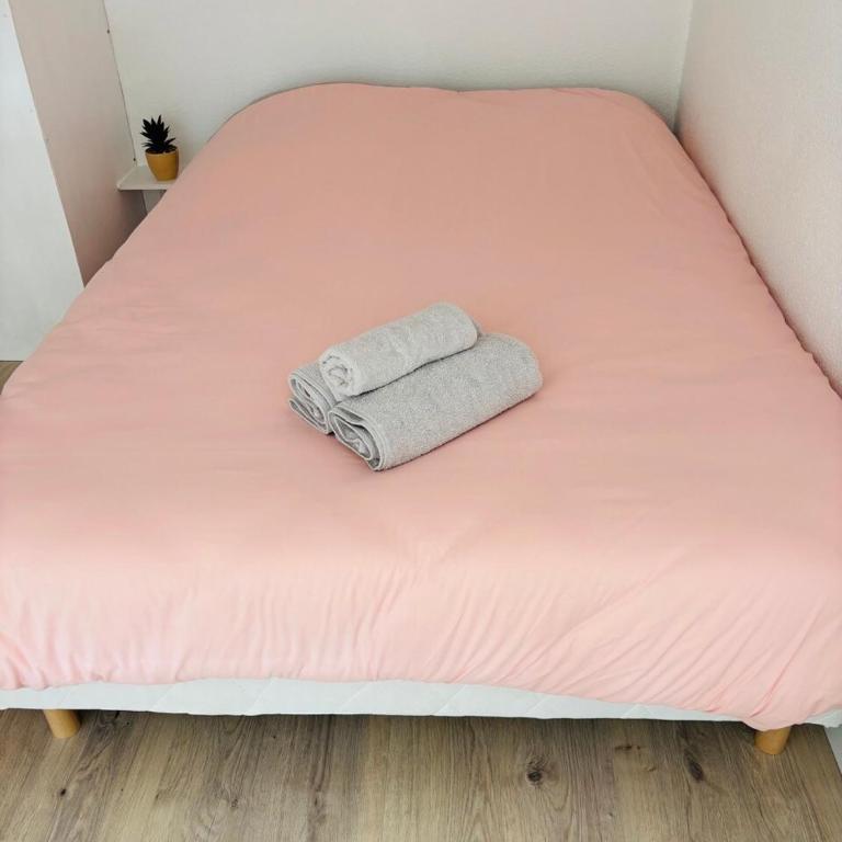 Duplex cosy neuf - wifi - balcon - en bordure de forêt de pins - proche plage - Appartamento con 1 Camera da Letto - 8