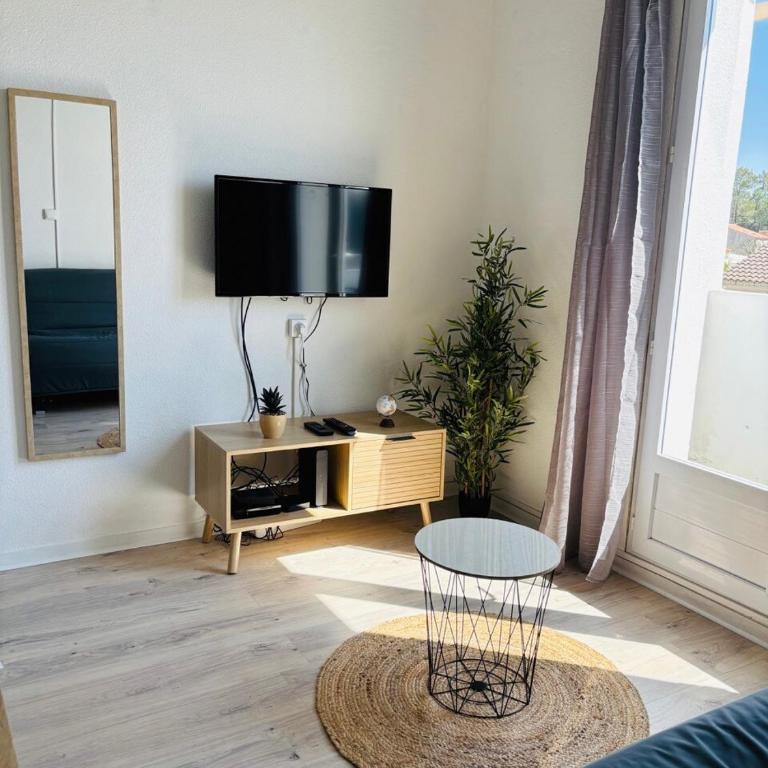 Duplex cosy neuf - wifi - balcon - en bordure de forêt de pins - proche plage - Appartamento con 1 Camera da Letto - 3