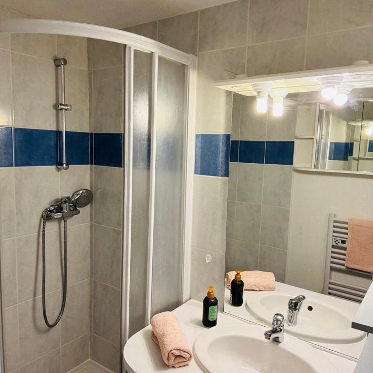 Duplex cosy neuf - wifi - balcon - en bordure de forêt de pins - proche plage - Appartamento con 1 Camera da Letto - 10