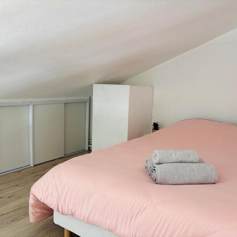 Duplex cosy neuf - wifi - balcon - en bordure de forêt de pins - proche plage - Appartamento con 1 Camera da Letto - 6