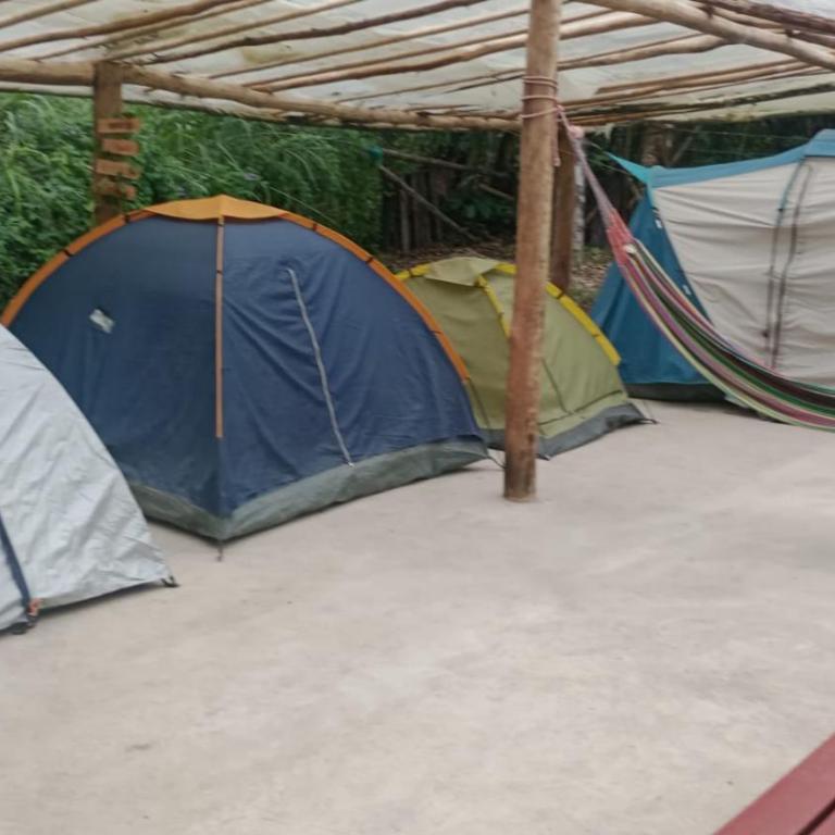 Refugio Los Naranjales - Tienda - 2