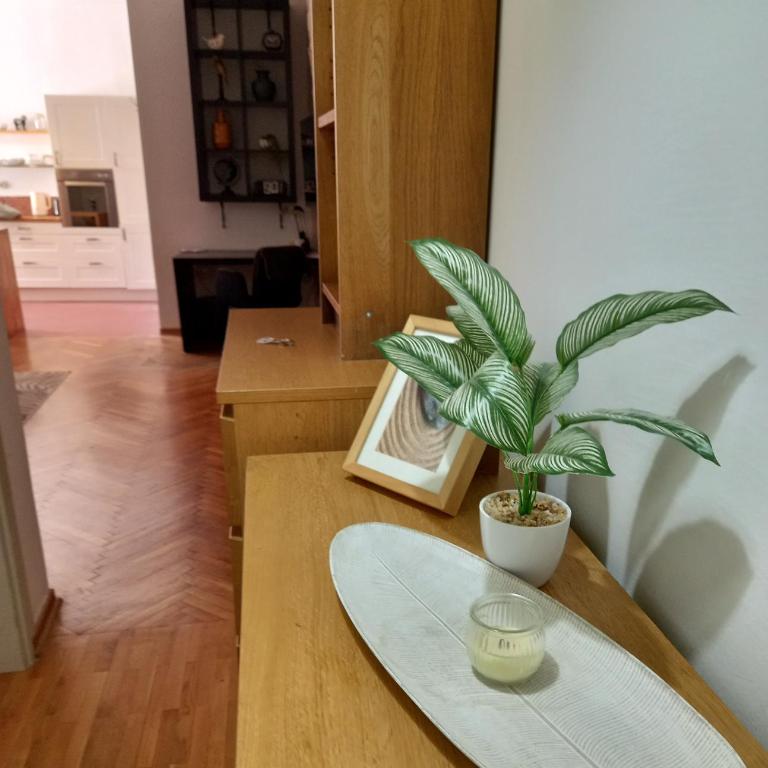 Decatera apartment - Two-Bedroom Apartment - 12
