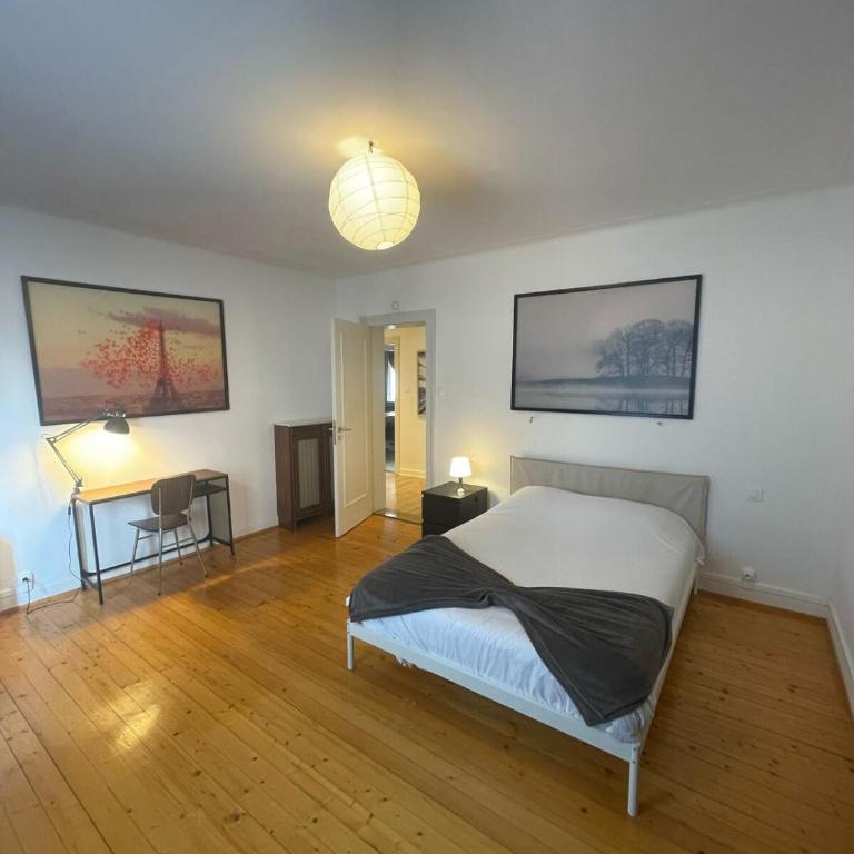 Large Apartment Free Parking Mulhouse - Appartamento con 1 Camera da Letto - 1
