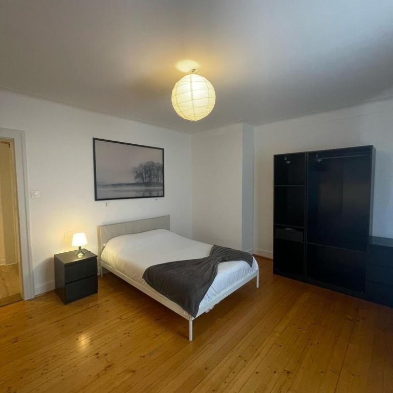 Large Apartment Free Parking Mulhouse - Appartamento con 1 Camera da Letto - 7