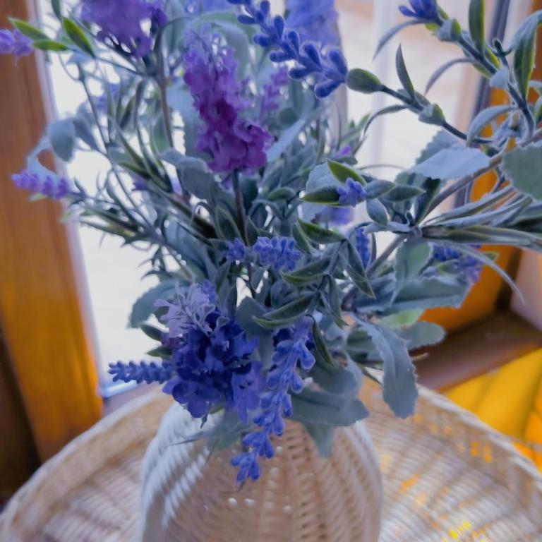 Centre Budva Green - Apartman sa 1 Spavaćom Sobom - 36