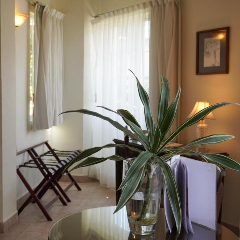 Hotel Hacienda Los Laureles - Suite Deluxe con bañera de hidromasaje - 2
