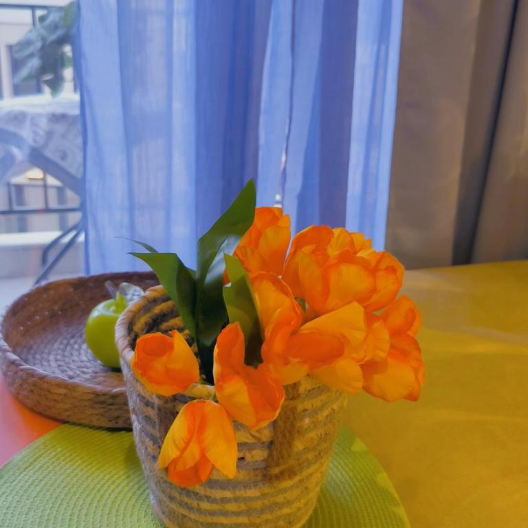 Centre Budva Green - Apartman sa 1 Spavaćom Sobom - 32