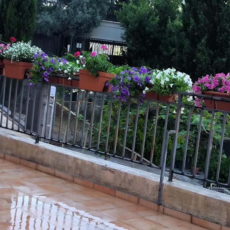 Centre Budva Green - Apartman sa 1 Spavaćom Sobom - 29
