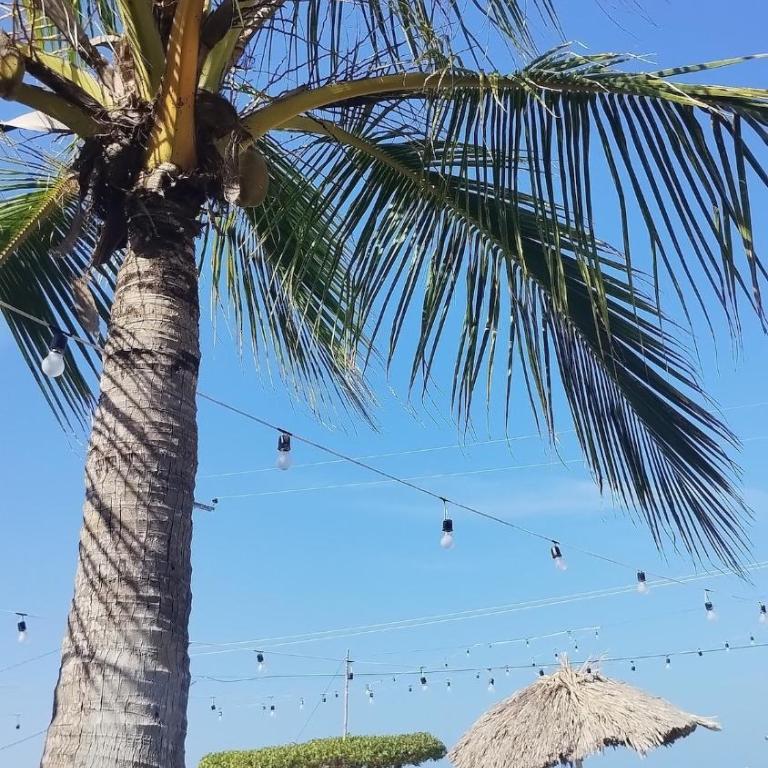 La casa en el Aire - Casa de 2 dormitorios - 35