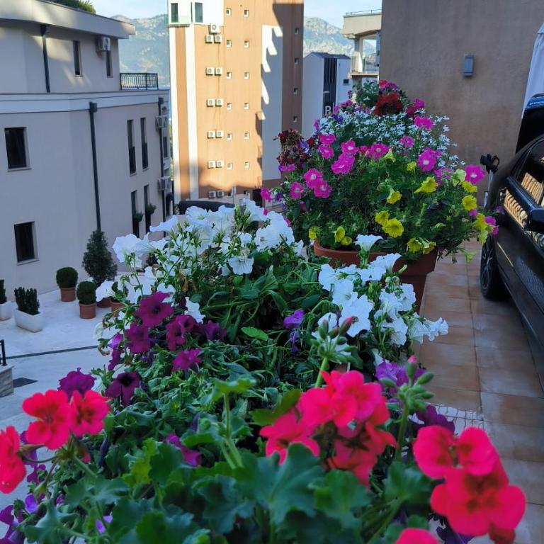 Centre Budva Green - Apartman sa 1 Spavaćom Sobom - 25
