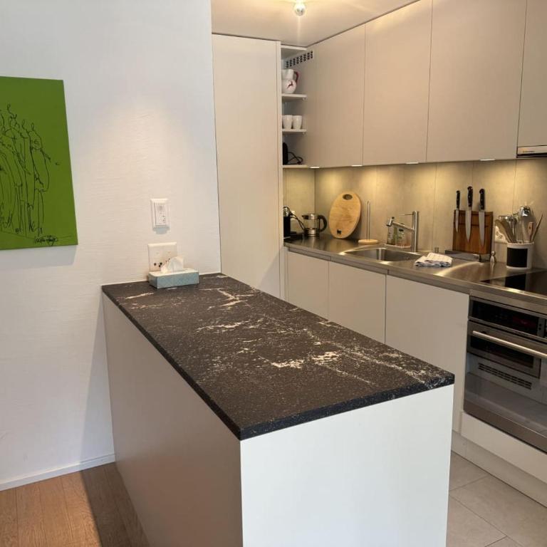 Sleek Mountain Escape Light and Airy - Apartment - 19