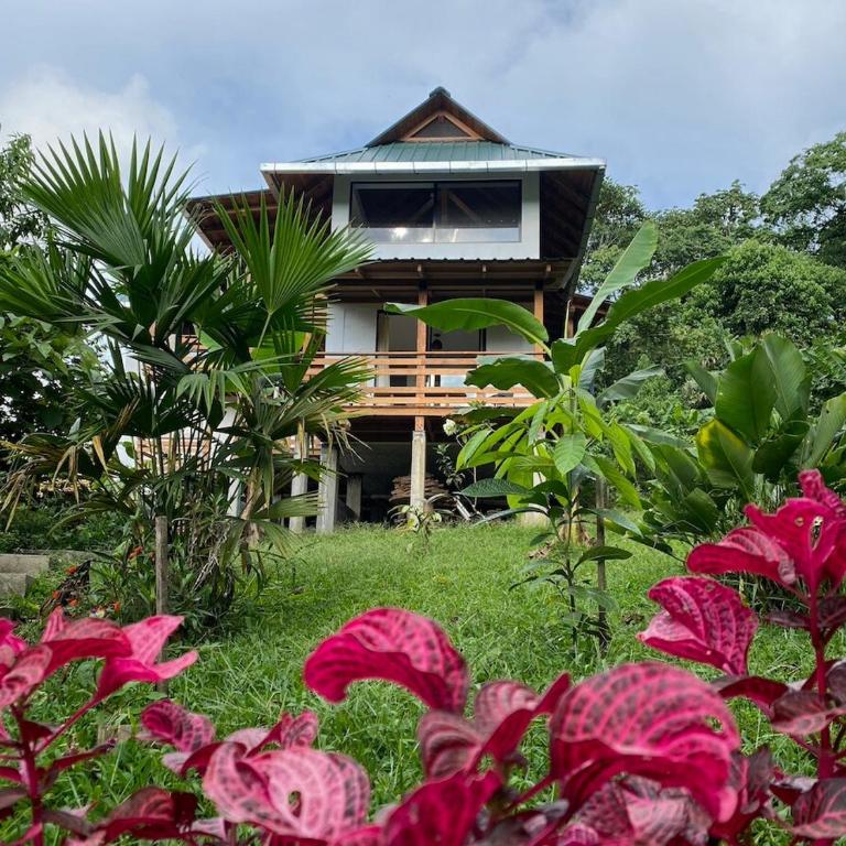Coral Tree Lodge Tena - Apartamento de 1 dormitorio con balcón y vistas a la montaña - 28
