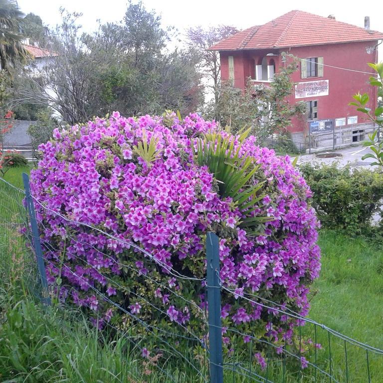 Vanni's House - Appartamento - 29