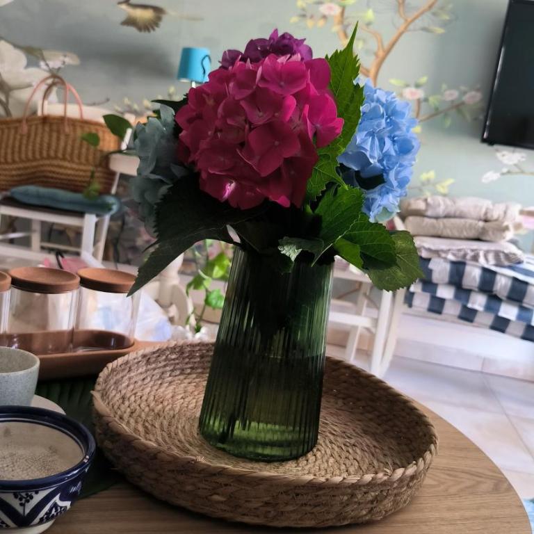 Centre Budva Blue - Apartman sa 1 Spavaćom Sobom - 36