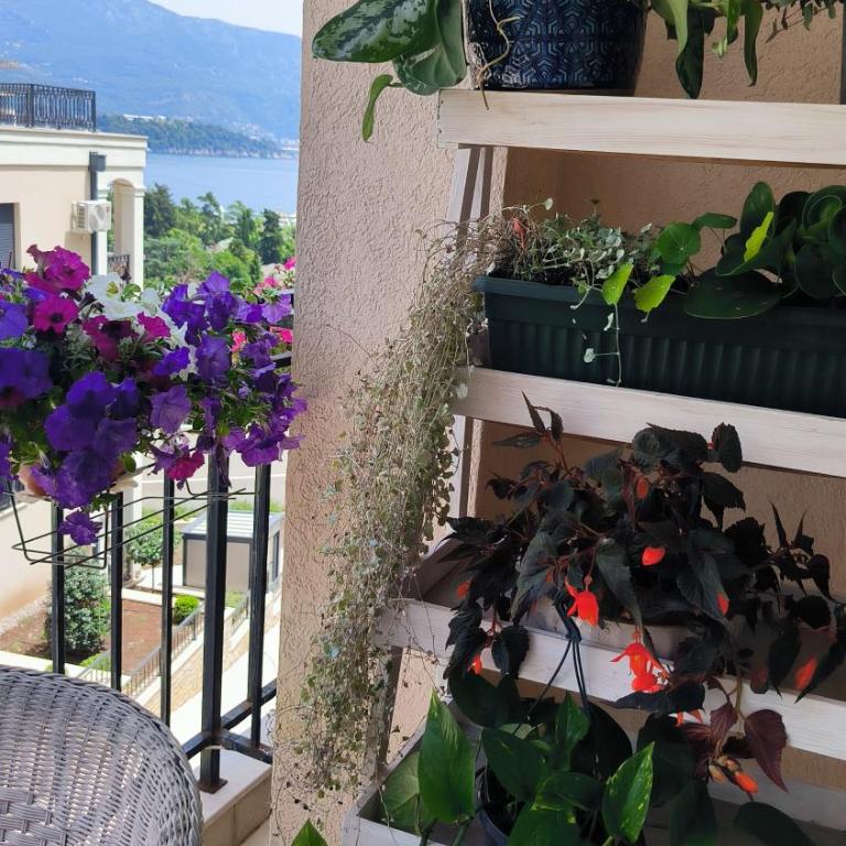 Centre Budva Blue - Apartman sa 1 Spavaćom Sobom - 40
