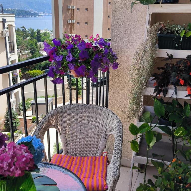 Centre Budva Blue - Apartman sa 1 Spavaćom Sobom - 17