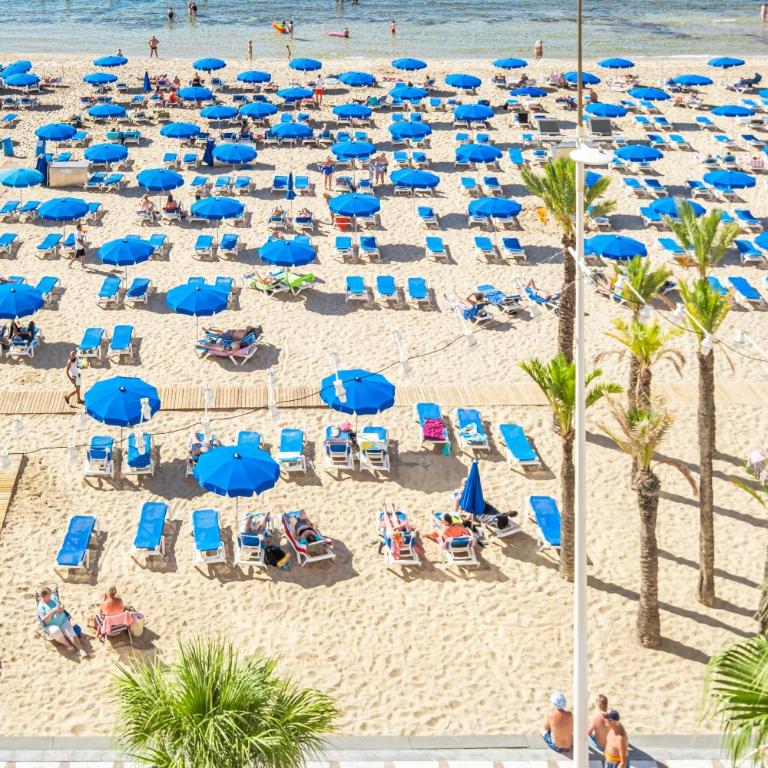 Torre Mar 20-D Apartment Levante Beach - Apartment - 60