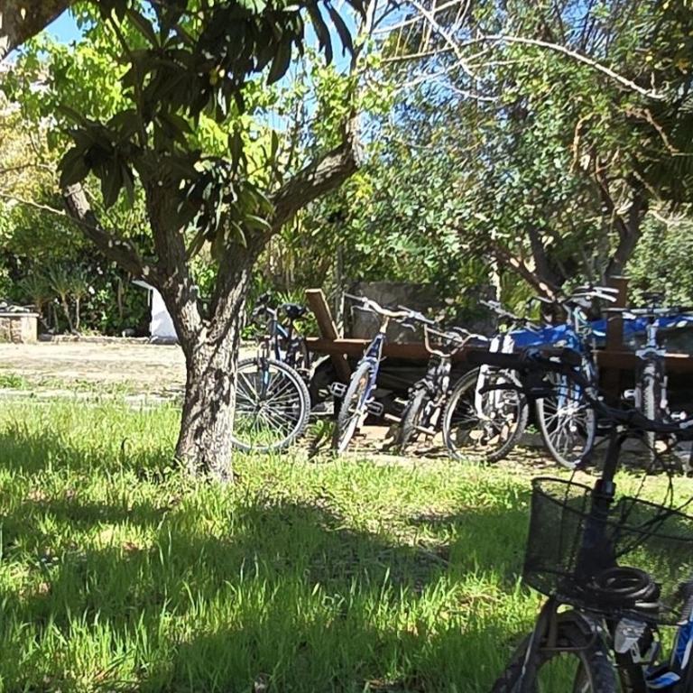 Alghero in bicicletta - Camera Doppia con Letti Singoli con Bagno Privato Esterno - 41