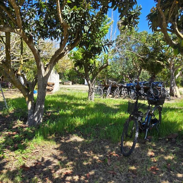 Alghero in bicicletta - Camera Doppia con Letti Singoli con Bagno Privato Esterno - 42