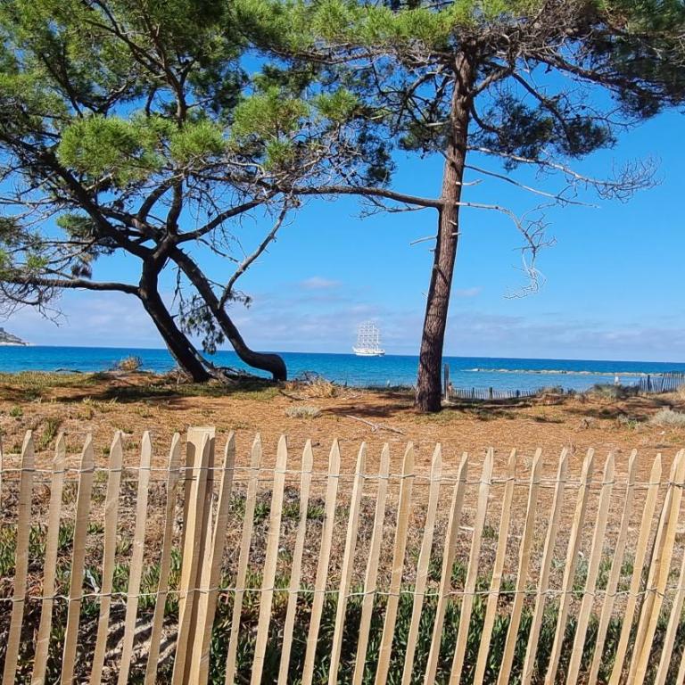 Magnifique appartement traversant à 300 m de la plage - Two-Bedroom Apartment - 19