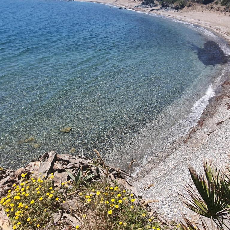 First line beach 2bedrooms appartment - Apartamento Deluxe de 2 dormitorios con vistas al mar - 10