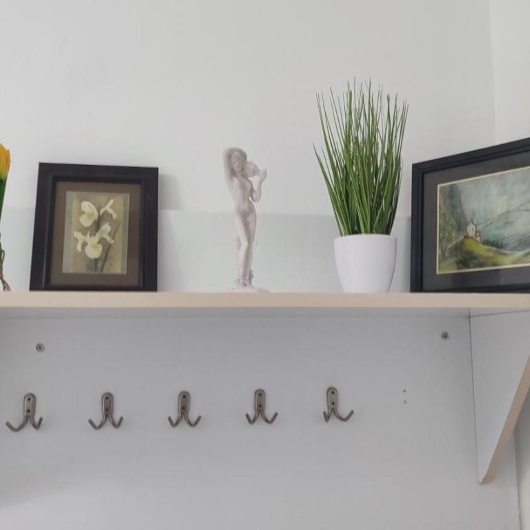 Vuk 1 - One-Bedroom Apartment - 17