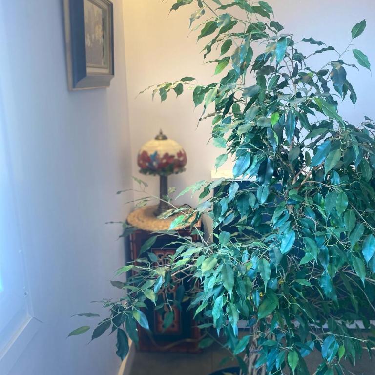 Tu escapada perfecta en Logroño - Apartamento de 2 dormitorios - 2