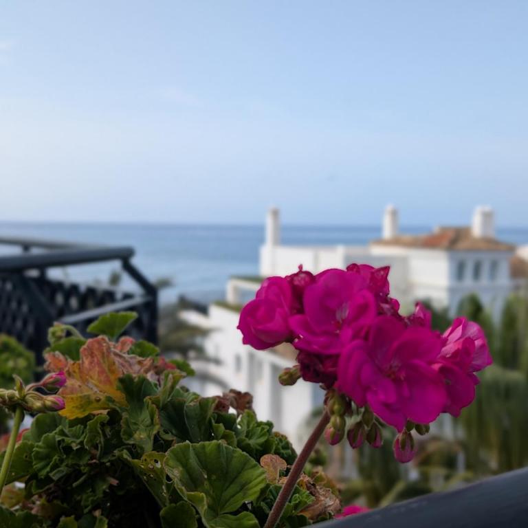 Beautiful first line Penthouse with Sea View Mi Capricho - Apartamento de 2 dormitorios con terraza y vistas al mar - 4