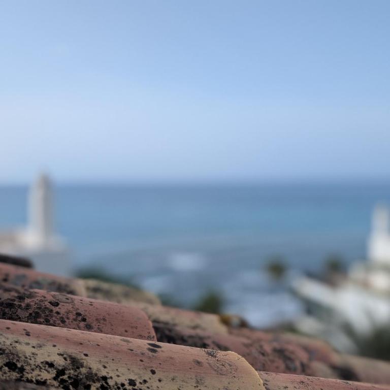 Beautiful first line Penthouse with Sea View Mi Capricho - Apartamento de 2 dormitorios con terraza y vistas al mar - 45