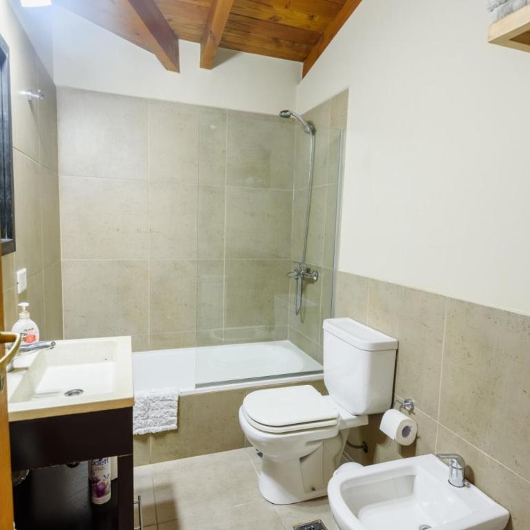 Departamento entero centrico en Bariloche - Apartamento de 1 dormitorio - 17