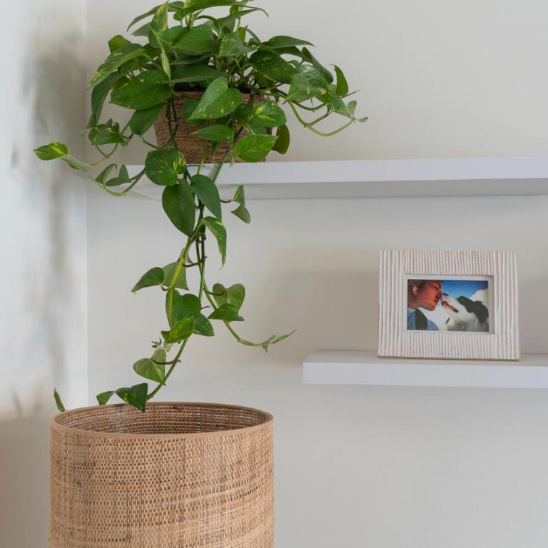 Flowery Floor studio & apartment - Appartamento con 1 Camera da Letto - 20