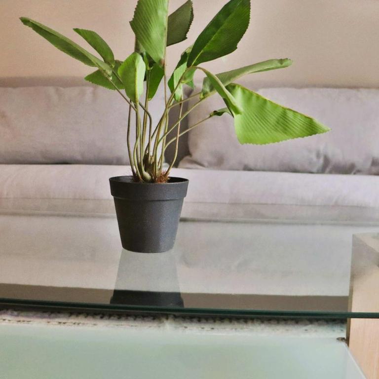 HOM I Cerca del Metro Depto 1D1B en calle Serrano - Apartamento - 22