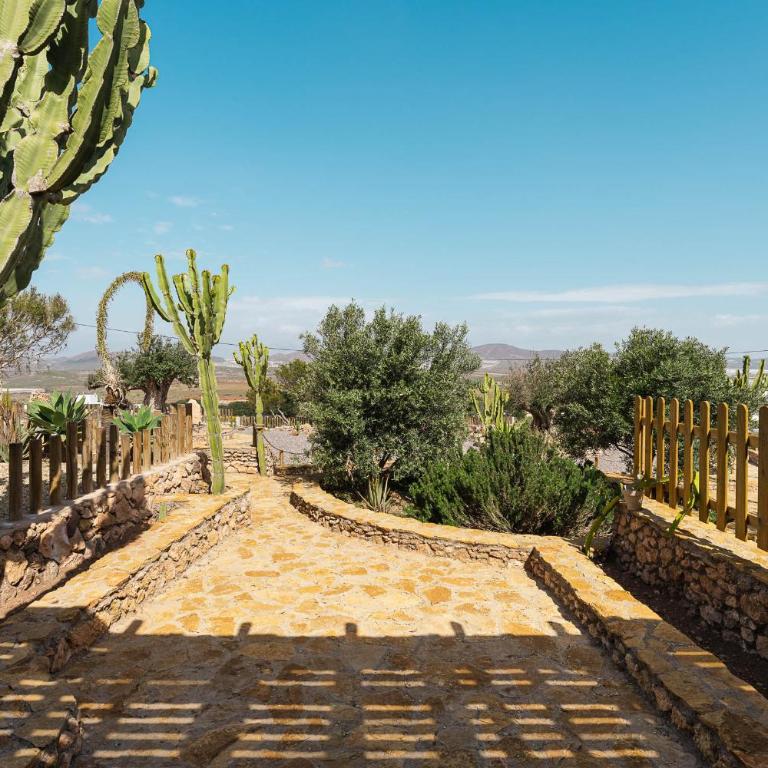 El cerro y la luna - Apartamento de 1 dormitorio - 28