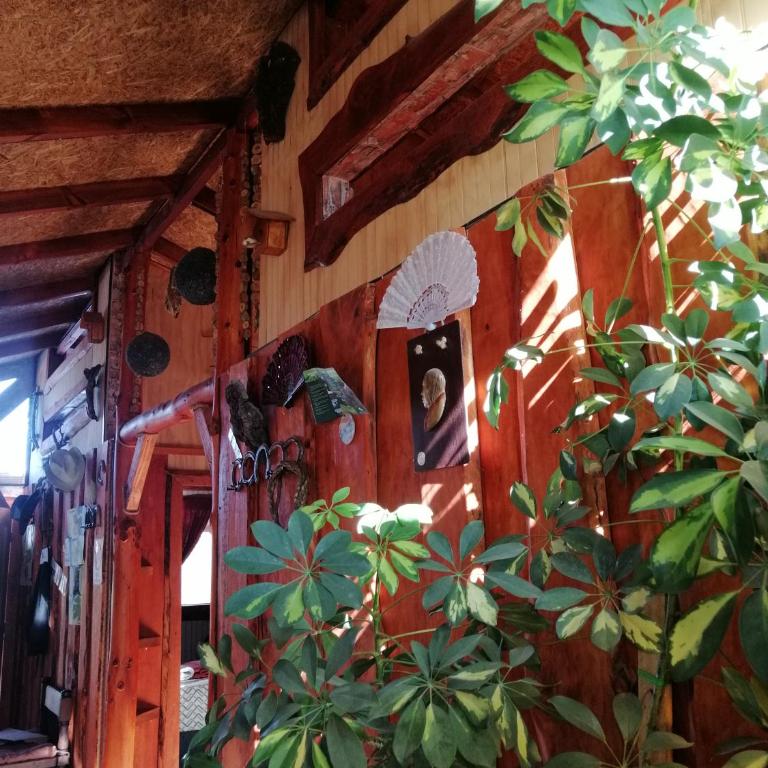 Brisas del llaima - Casa de 2 dormitorios - 4