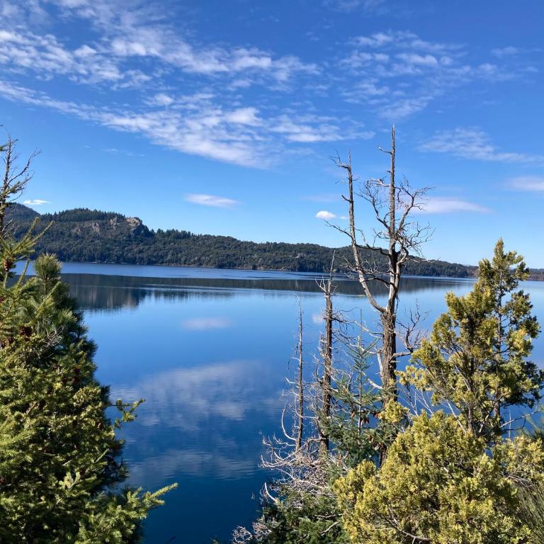 House in the Woods - Habitación Doble con vistas al jardín - 1 o 2 camas - 3
