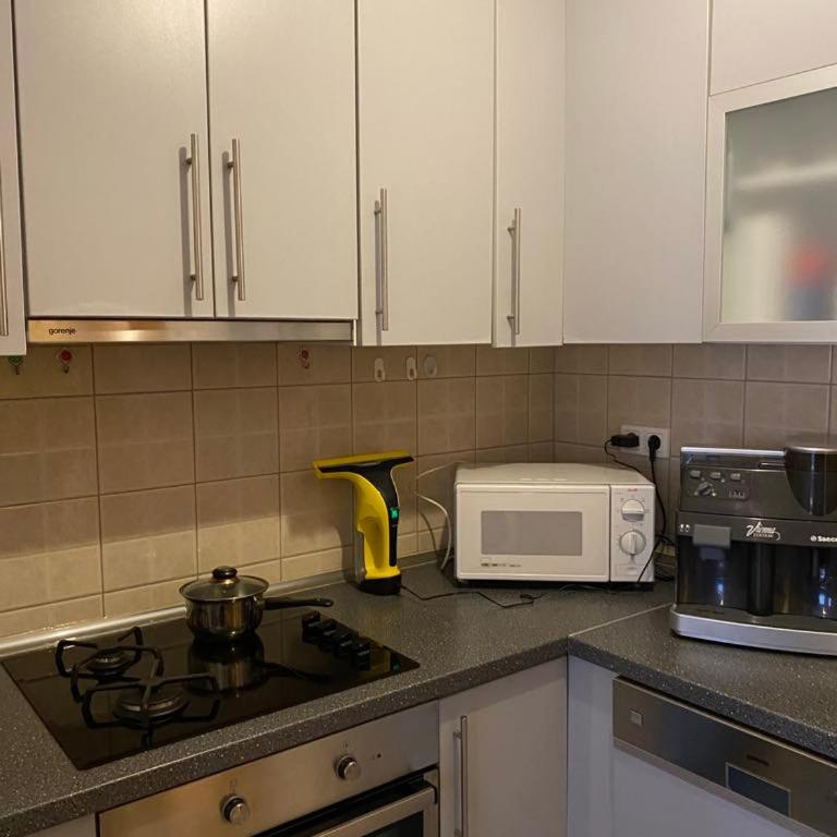 Apartman Nasic - Apartman sa 1 Spavaćom Sobom - 1
