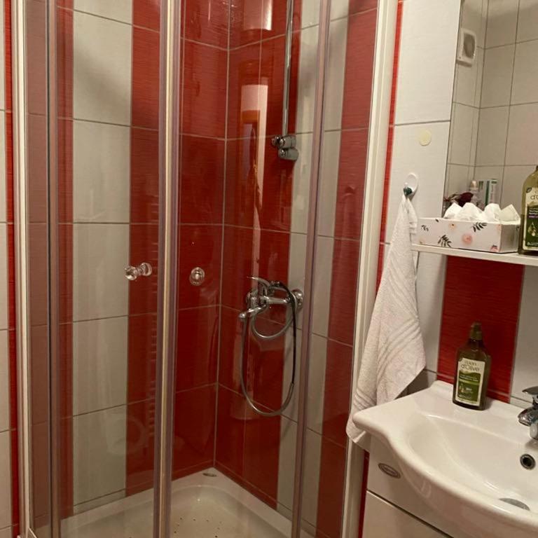 Apartman Nasic - Apartman sa 1 Spavaćom Sobom - 2