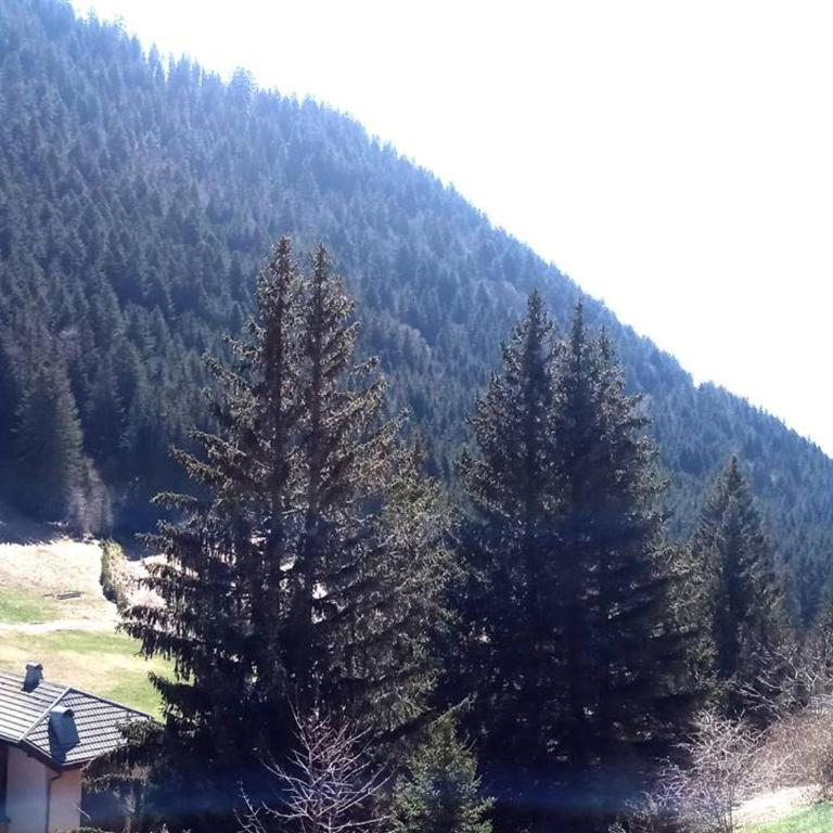 À louer : Appartement cosy 2 pièces cabine avec vue montagne - Appartement 1 Chambre - 8