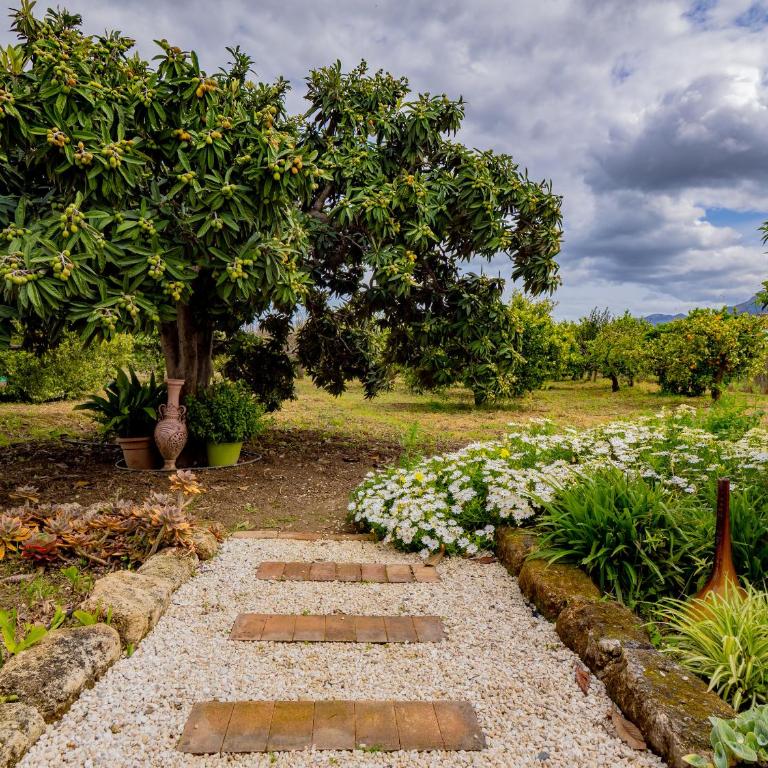 Cubo's Finca Pati - Two-Bedroom House - 48