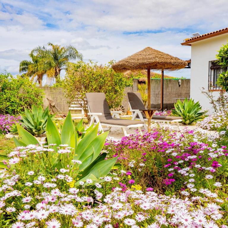 Cubo's Finca Pati - Two-Bedroom House - 3