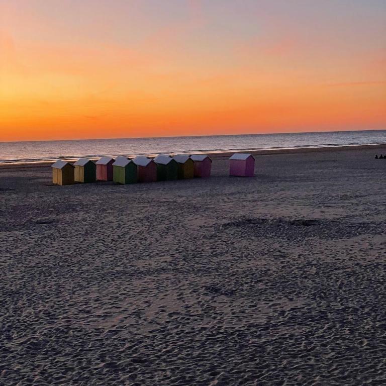 L'Altéia - L'appartement les pieds dans l'eau avec place de parking et accès direct plage - Apartment mit 1 Schlafzimmer - 25