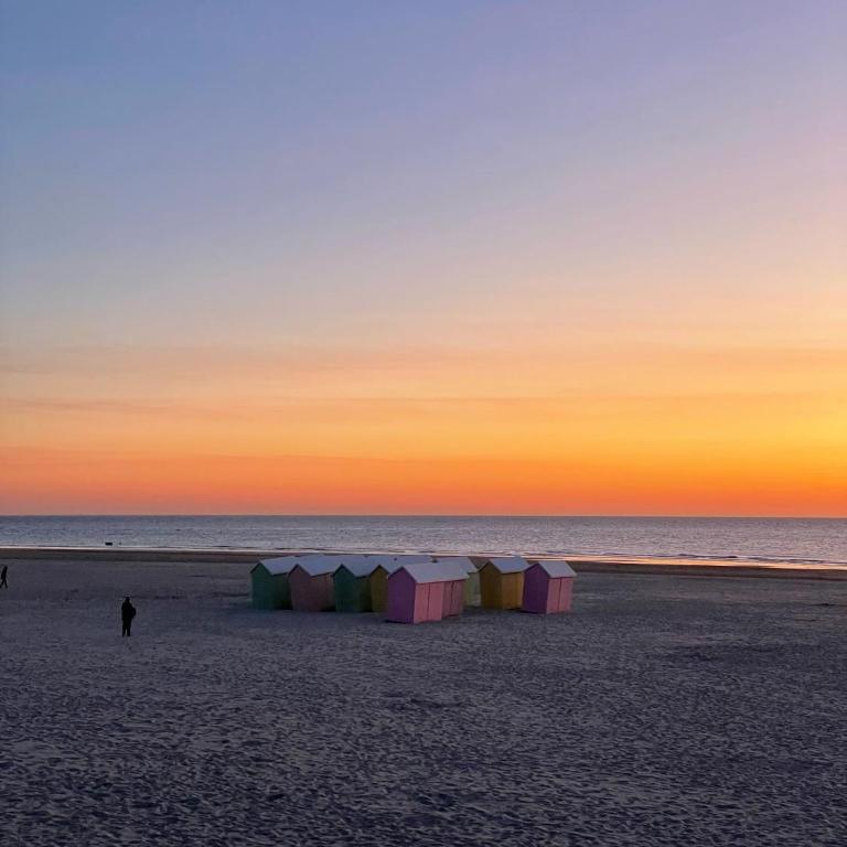 L'Altéia - L'appartement les pieds dans l'eau avec place de parking et accès direct plage - Apartment mit 1 Schlafzimmer - 26