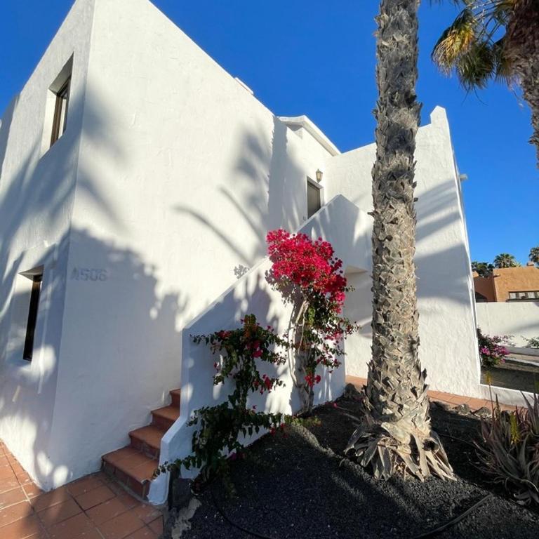 B-Rent Oasis Dunas Sunset Gael - Apartamento Familiar de 2 dormitorios - 38