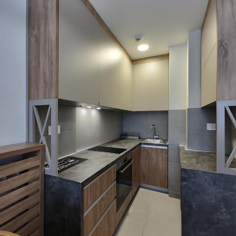 Apartmani Trg Zlatibor - One-Bedroom Apartment - 8