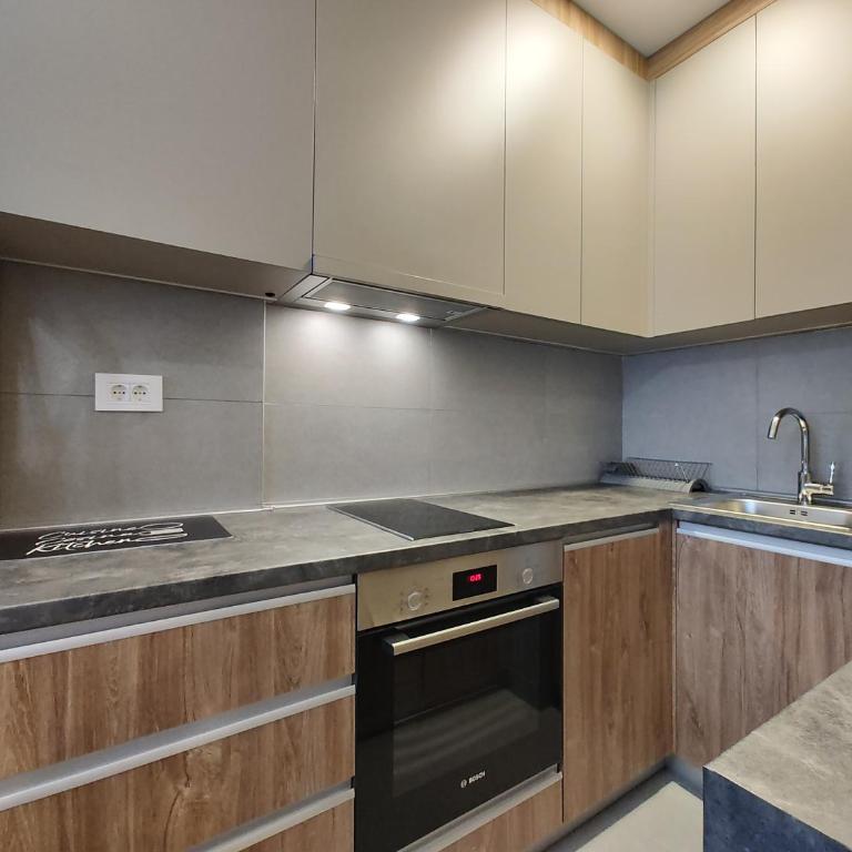 Apartmani Trg Zlatibor - One-Bedroom Apartment - 13