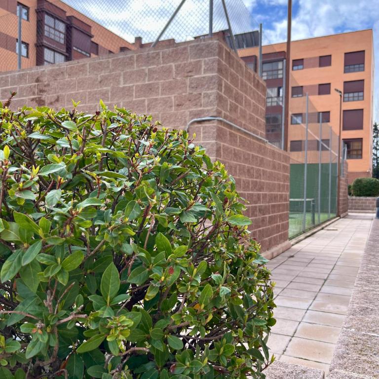 JC Suites, Madrid Airport - Apartamento de 1 dormitorio - 19