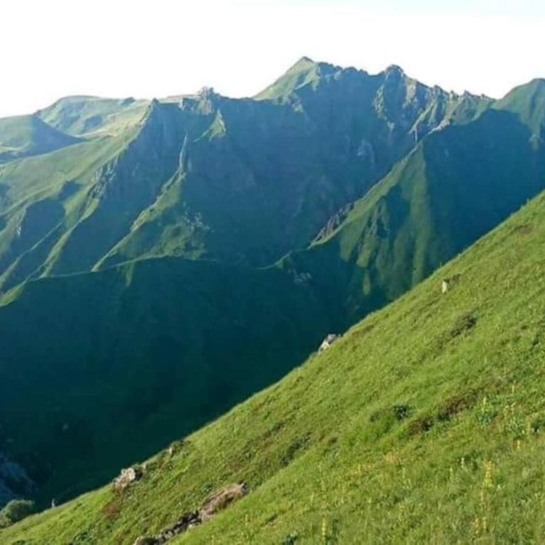 Charmant appartement - Le Mont Dore - Apartamento - 11
