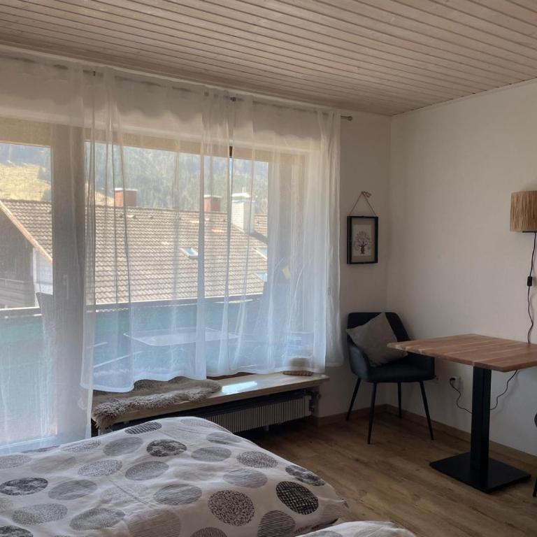 Hindelang Hideaway, Newly Renovated, Southern Balconies, Central Location - Studio-Apartment mit Balkon - 9