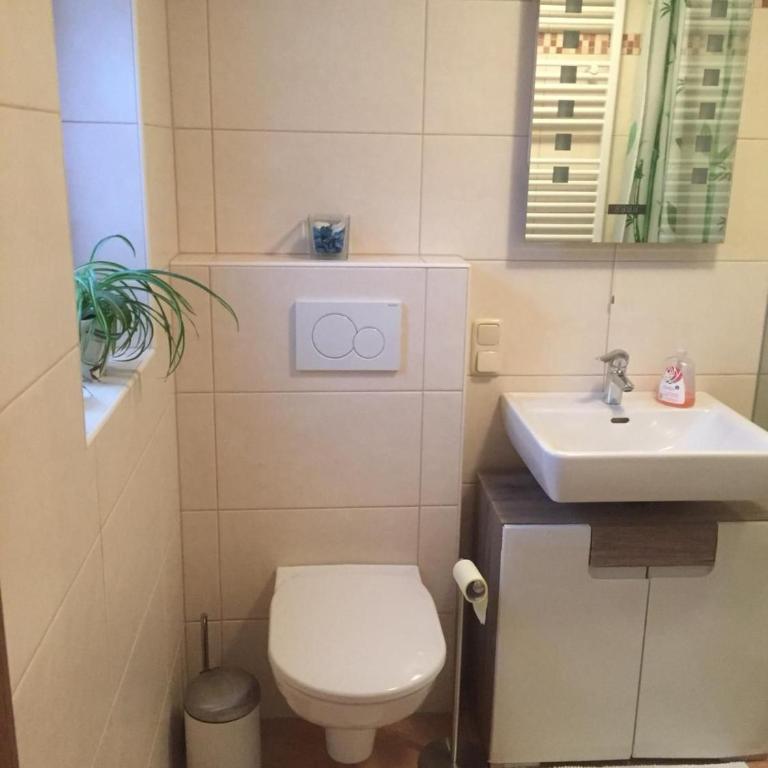 Ferienwohnung Obereck Natur-Ruhelage - Bad Ischl - Apartment mit 1 Schlafzimmer - 10